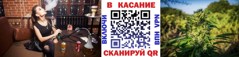  COCAIN Правдинск