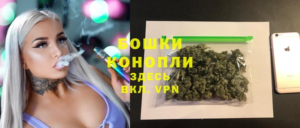 дурь Арсеньев