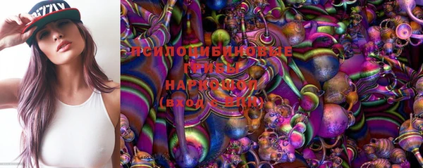 дурь Арсеньев