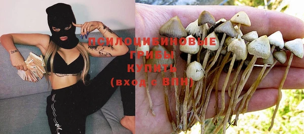 дурь Арсеньев