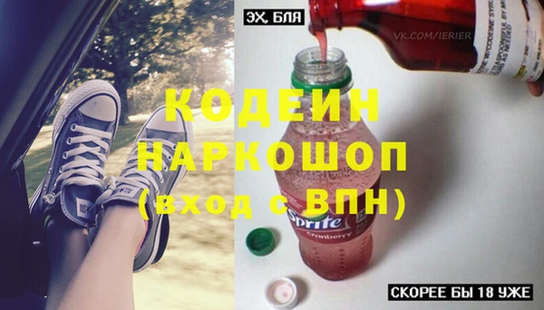 дурь Арсеньев